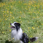 Séjour à la ferme Casanova *