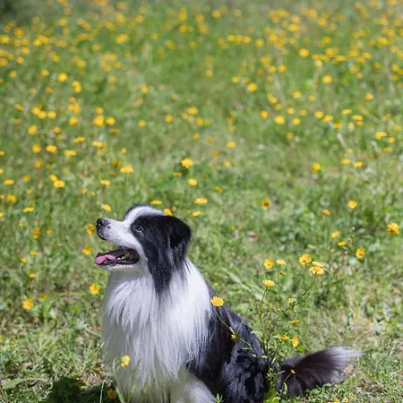 팜스테이 Casanova *