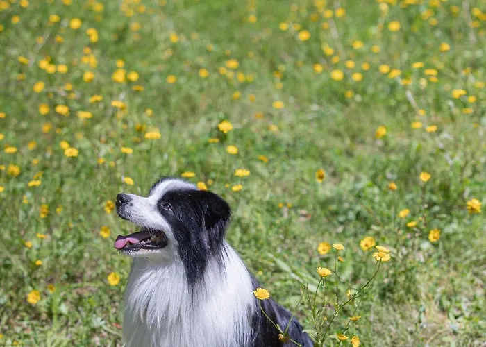 Farm stay Casanova *